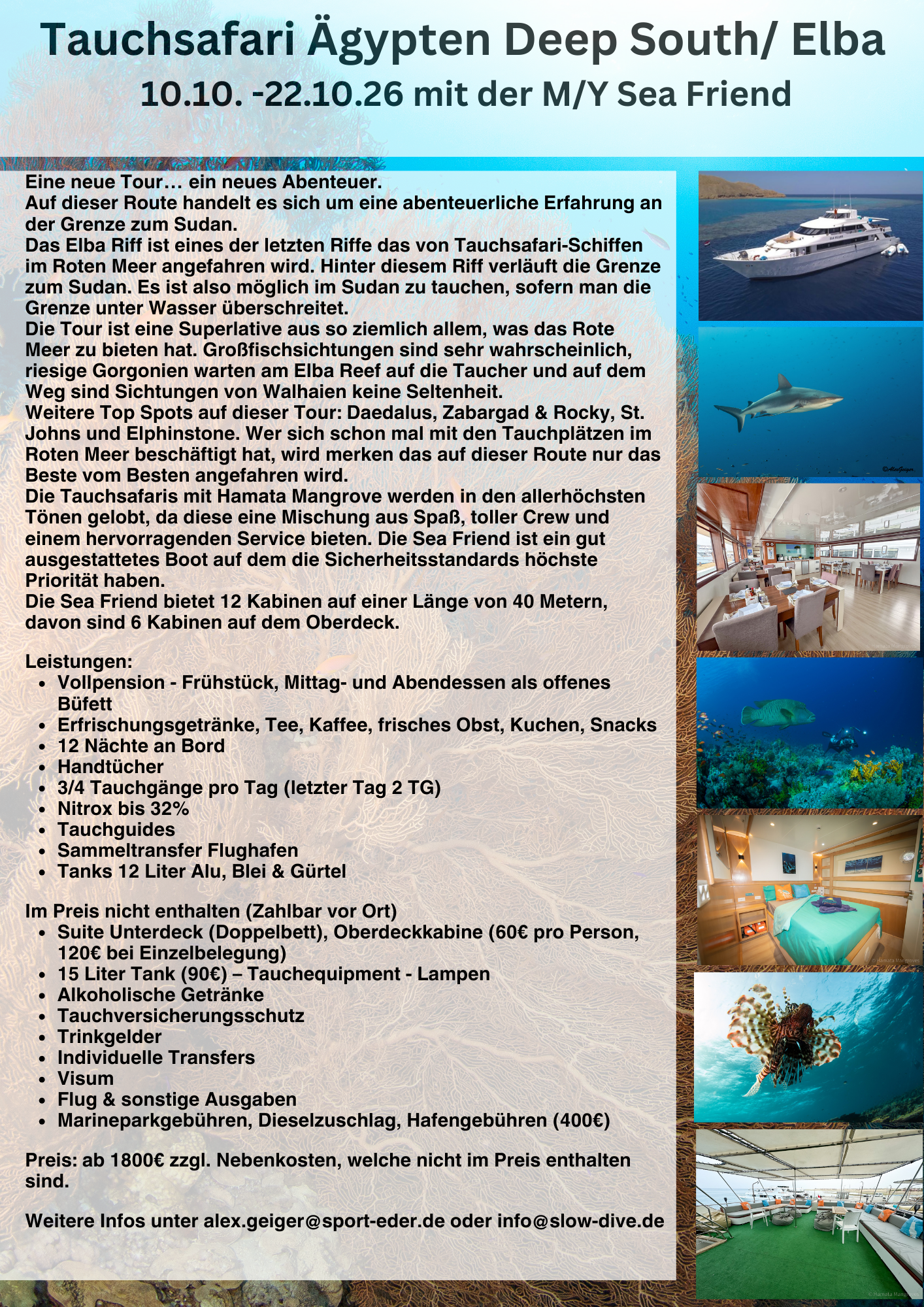 Tauchsafari Ägypten Deep South mit Elba Riff auf der M/Y Sea Friend vom 10.10.- 22.10.2026
