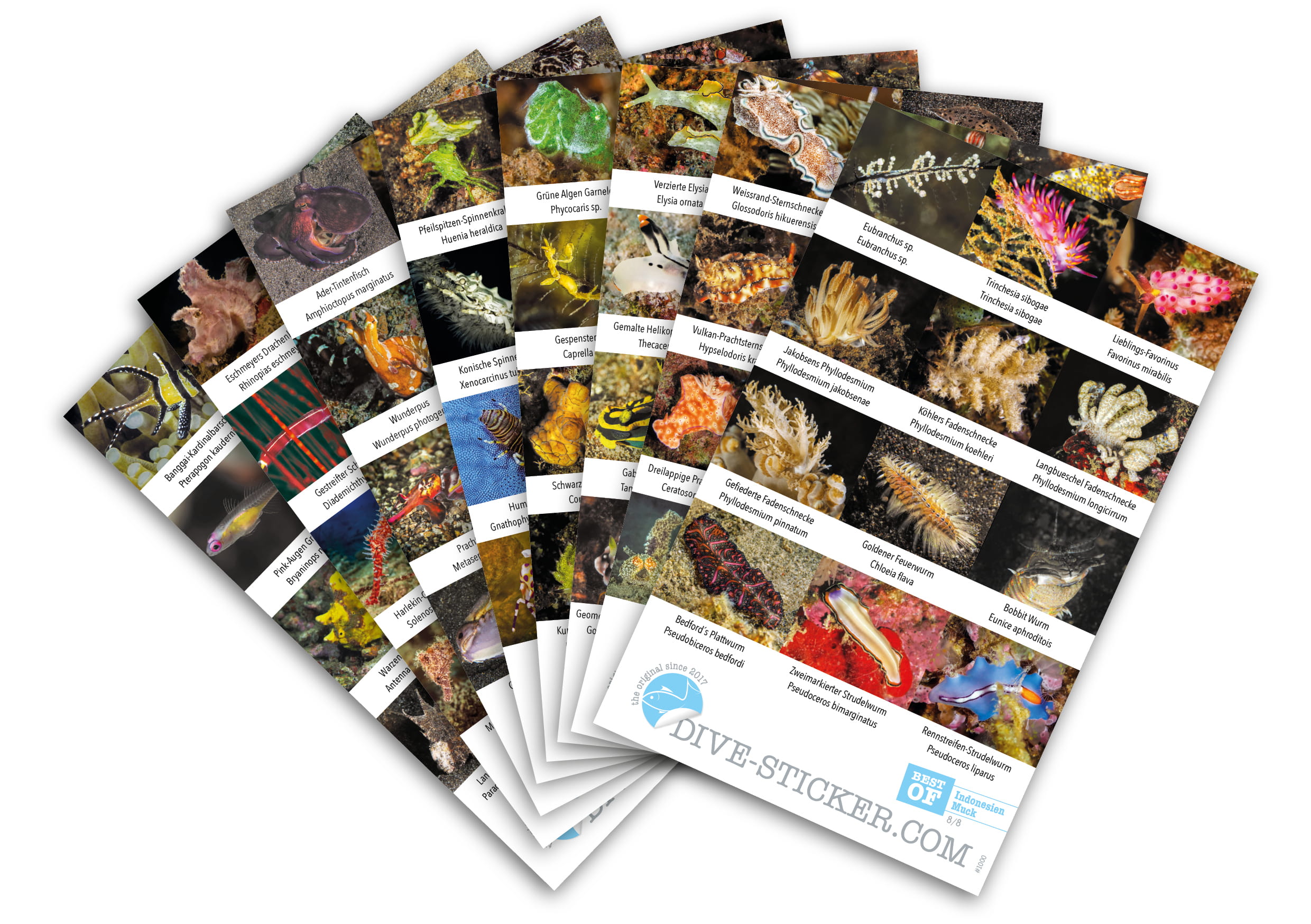 Dive_Sticker_Indonesien_Muck_2 Dive Sticker Indonesien/Muck