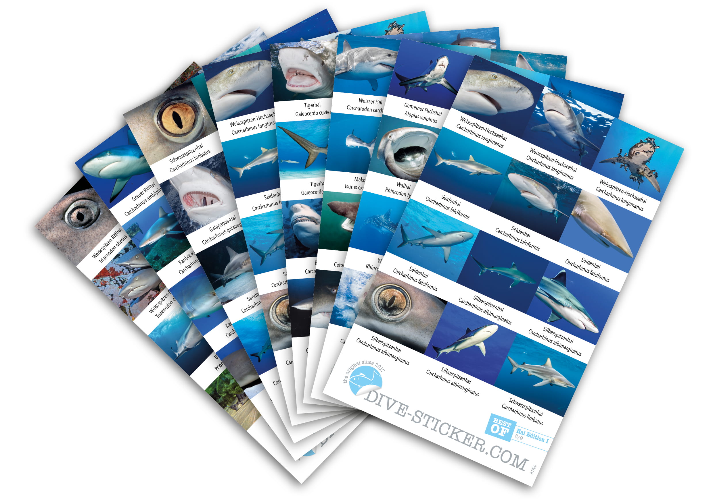 Dive_Sticker_Hai_Edition_1_2 Dive Sticker Hai Edition