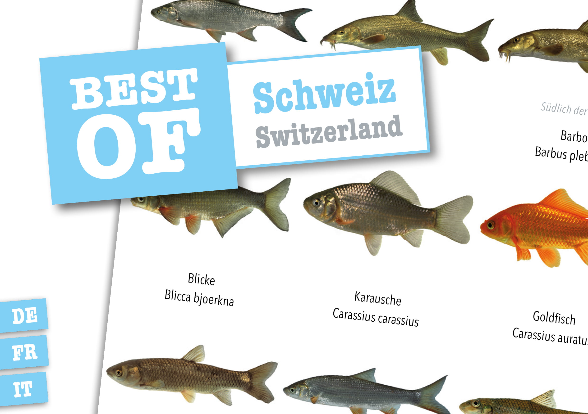 Dive_Sticker_Schweiz Dive Sticker Schweiz