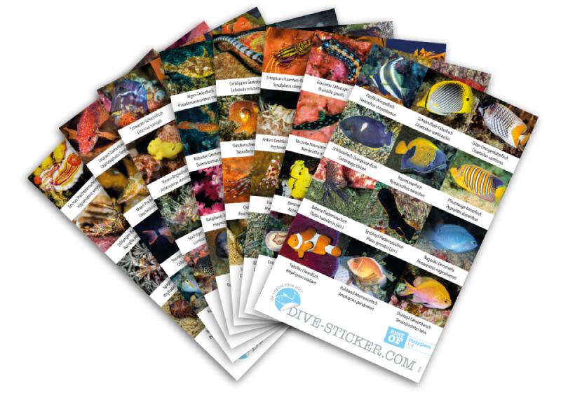 Dive Sticker Philippinen Dive Sticker Philippinen