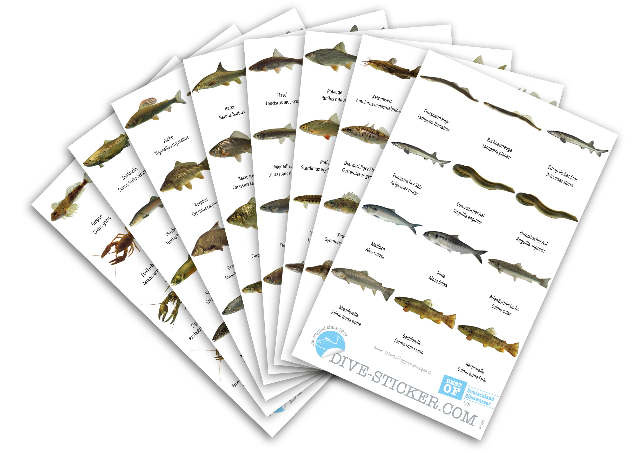 Dive_Sticker_Deutschland_2 Dive Sticker Deutschland