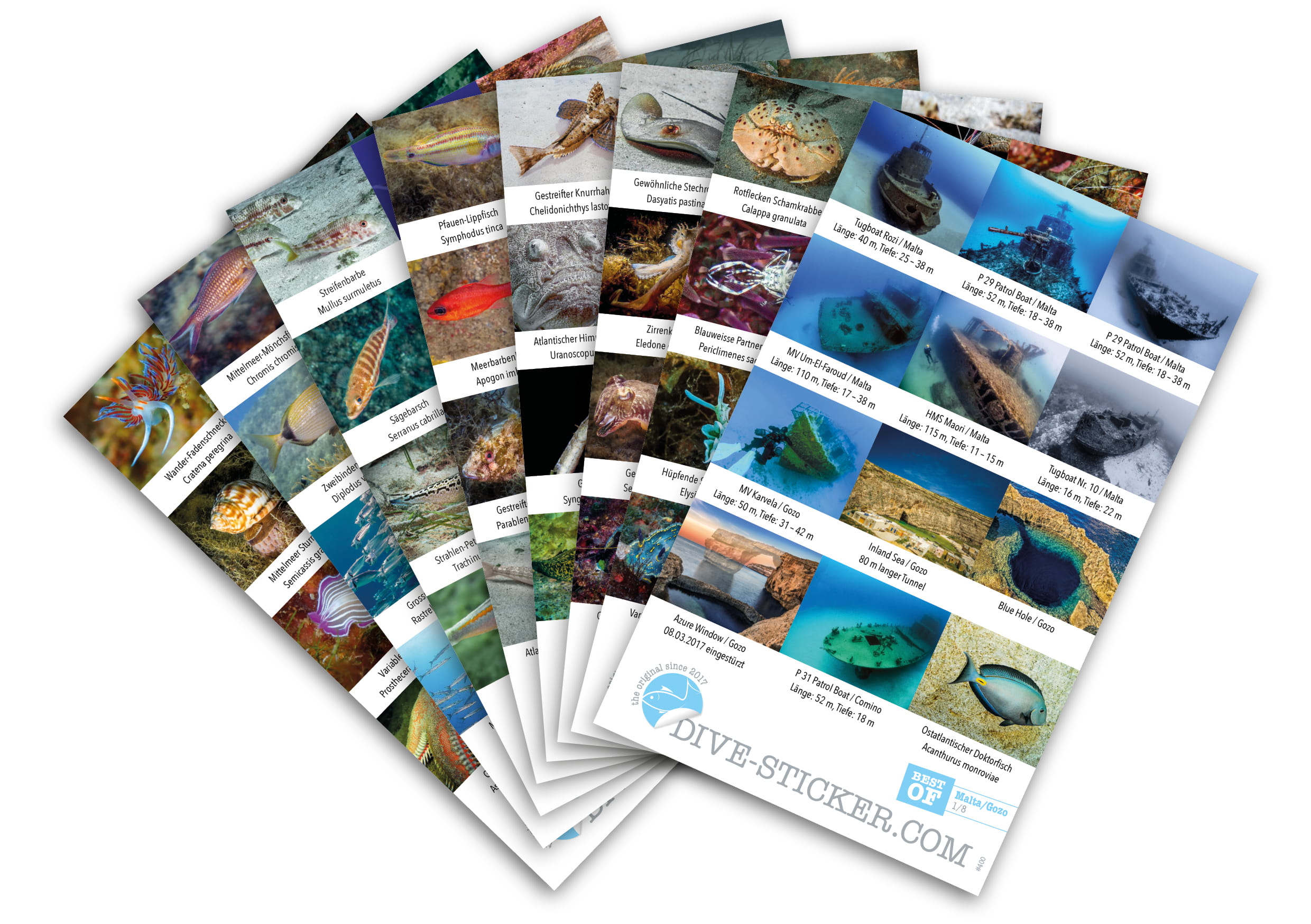 Dive_Sticker_Malta_Gozo_2 Dive Sticker Malta/Gozo