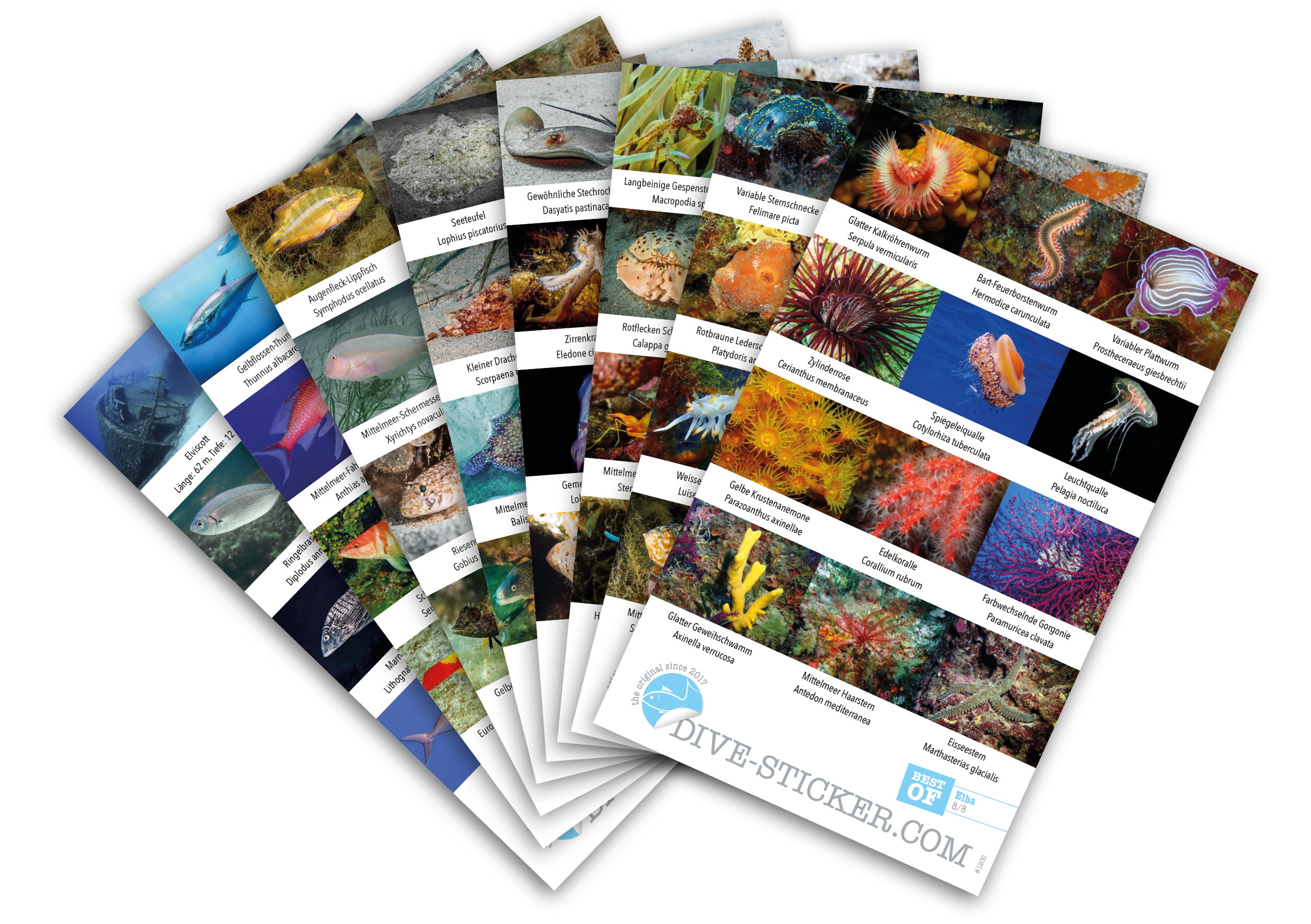 Dive_Sticker_Elba_2 Dive Sticker Elba