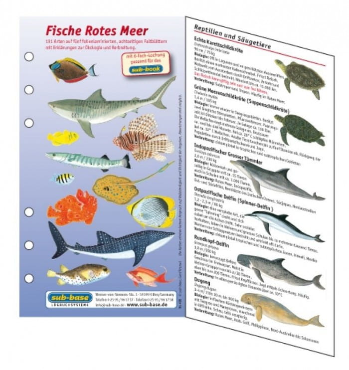 Fischkartenset_Rotes_Meer_Fischbestimmung Fischkartenset Rotes Meer Fischbestimmung
