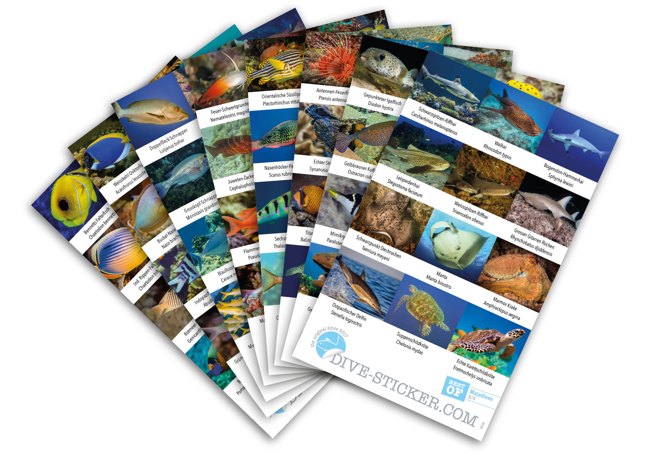 Dive_Sticker_Malediven_2 Dive Sticker Malediven
