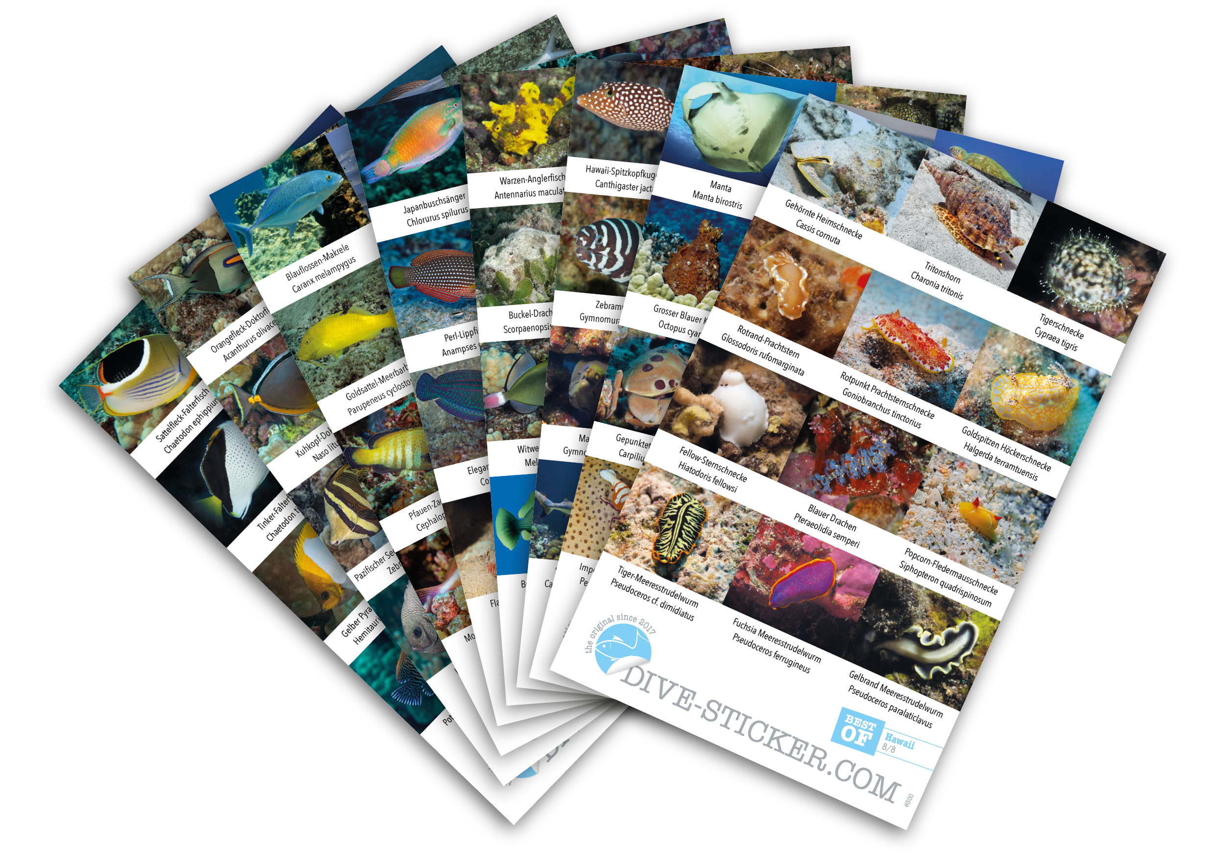 Dive_Sticker_Hawaii_2 Dive Sticker Hawaii