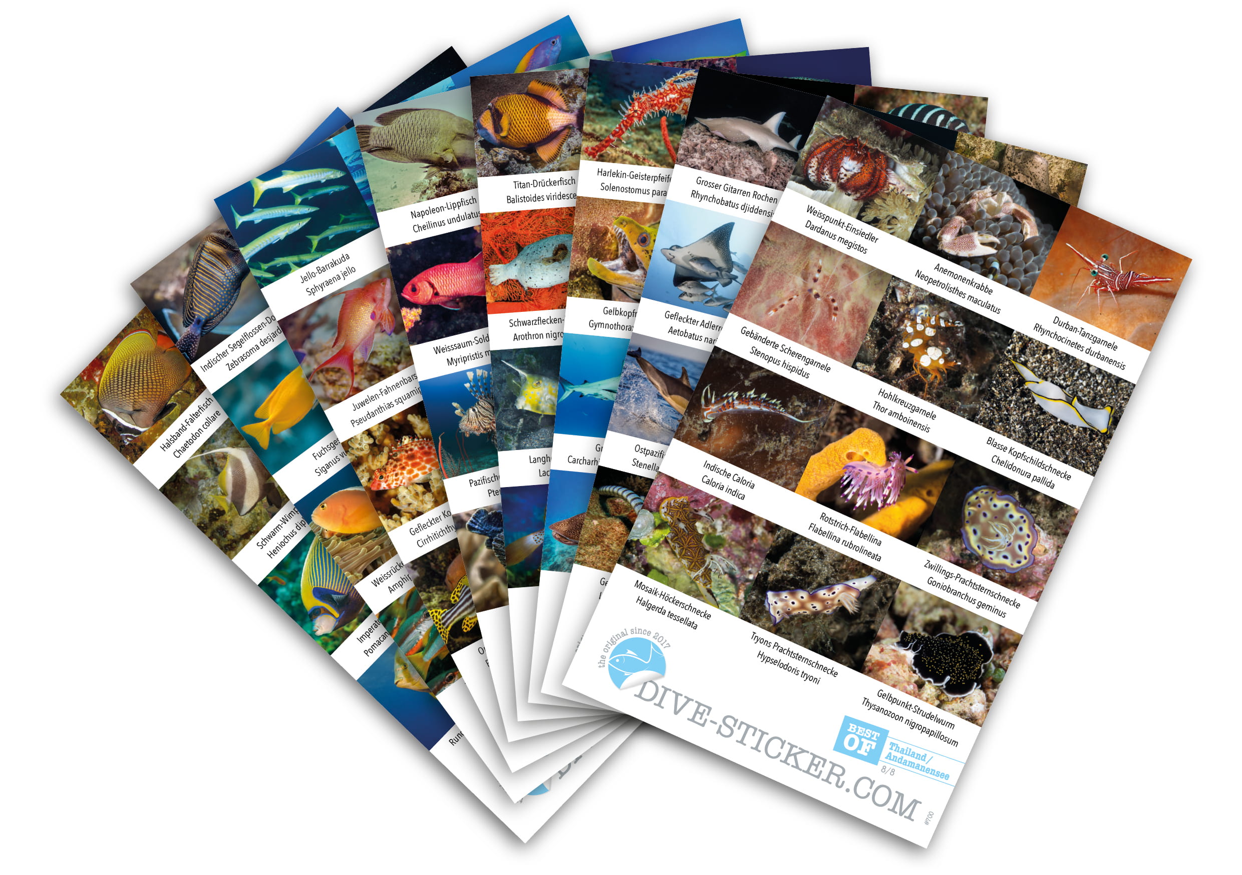 Dive-Sticker-Thailand_Andamanensee_2 Dive Sticker Thailand/Andamanensee