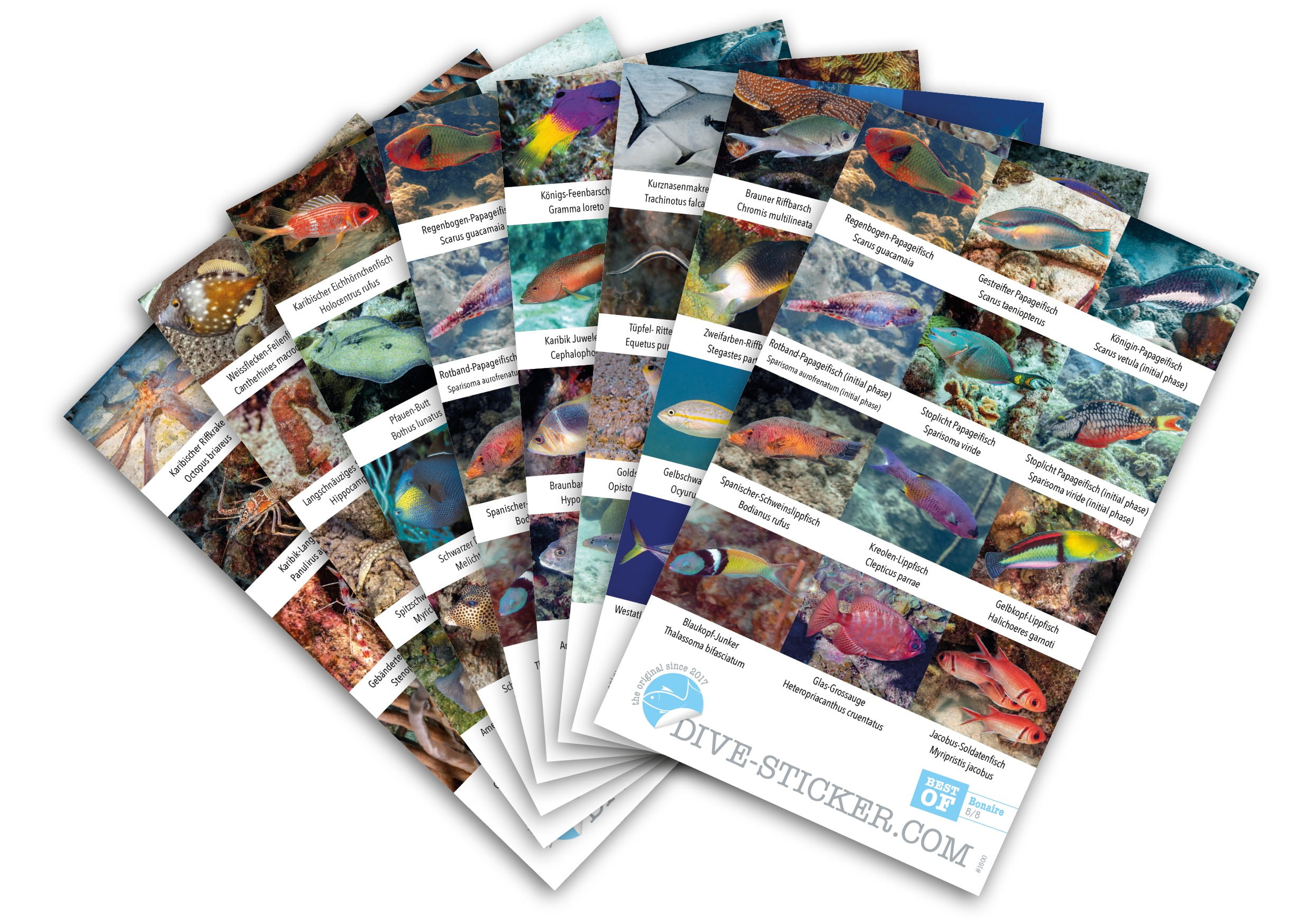 Dive_Sticker_Bonaire_2 Dive Sticker Bonaire