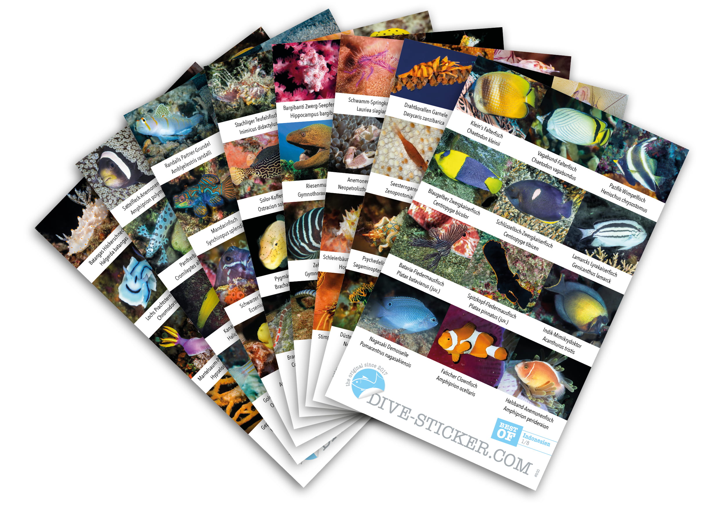 Dive_Sticker_Indonesien_2 Dive Sticker Indonesien