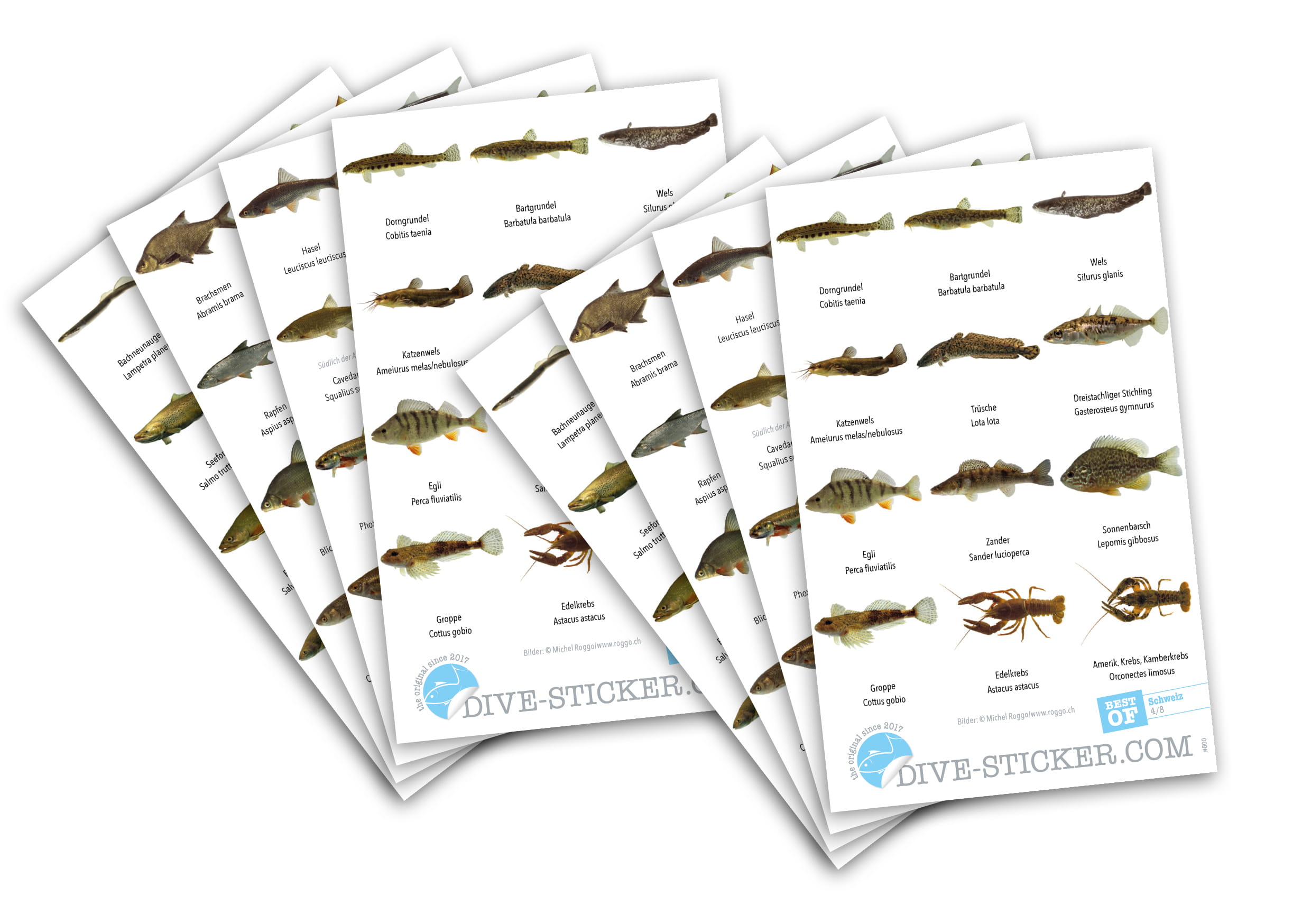 Dive_Sticker_Schweiz_2 Dive Sticker Schweiz